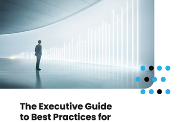 The Executive Guide to Best Practices for eCommerce Integration