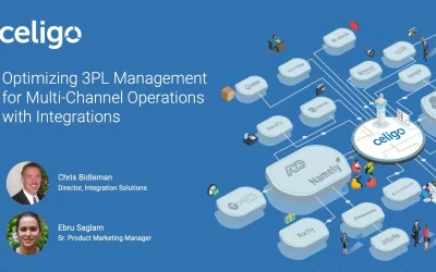 Optimizing 3PL Management for Multi-Channel Operations with Integration