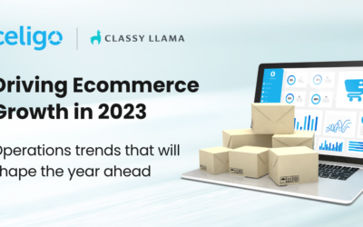 Driving Ecommerce Growth in 2023