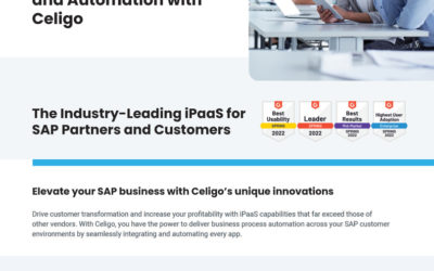 Celigo SAP Partner Brief