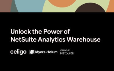 Unlock the Power of NetSuite Analytics Data Warehouse